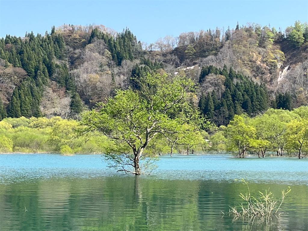 f:id:ABi-R:20220504225534j:image f:id:ABi-R:20220504225534j:image