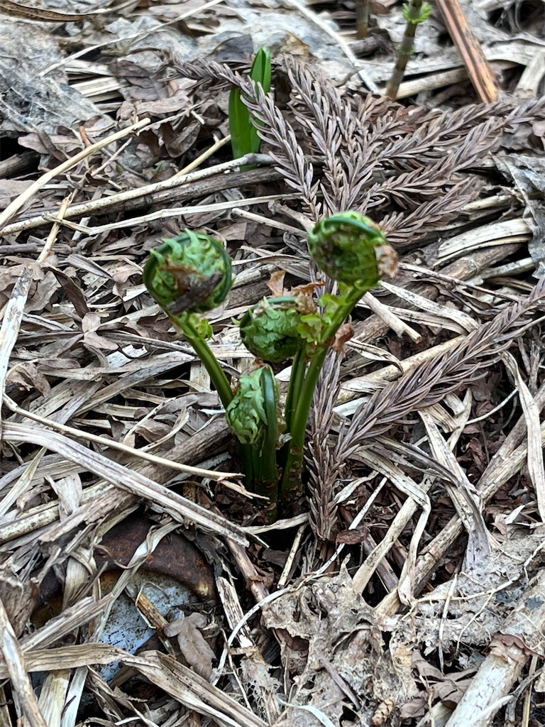 f:id:ABi-R:20220504234850j:image f:id:ABi-R:20220504234850j:image