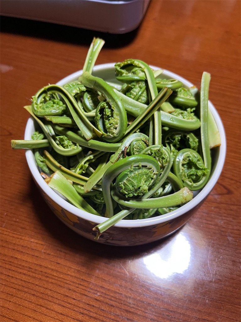 f:id:ABi-R:20220505200246j:image f:id:ABi-R:20220505200246j:image