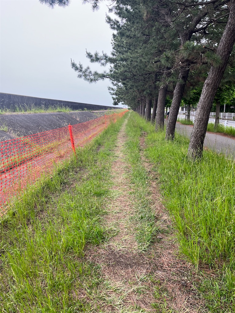 f:id:ABi-R:20220602072826j:image