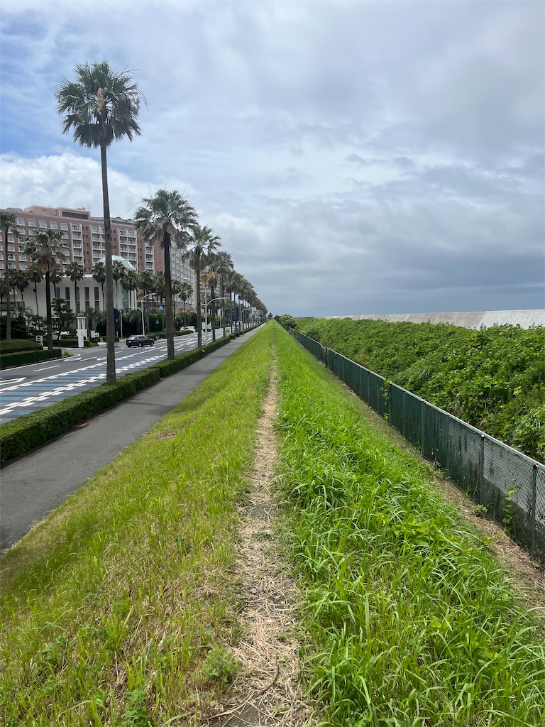 f:id:ABi-R:20220717211251j:image f:id:ABi-R:20220717211251j:image