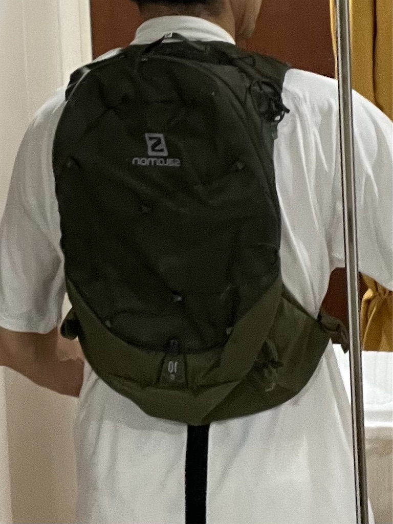 今日じゃなく昨日のアクティヴィティ ラン5.7km + サロモンXT10