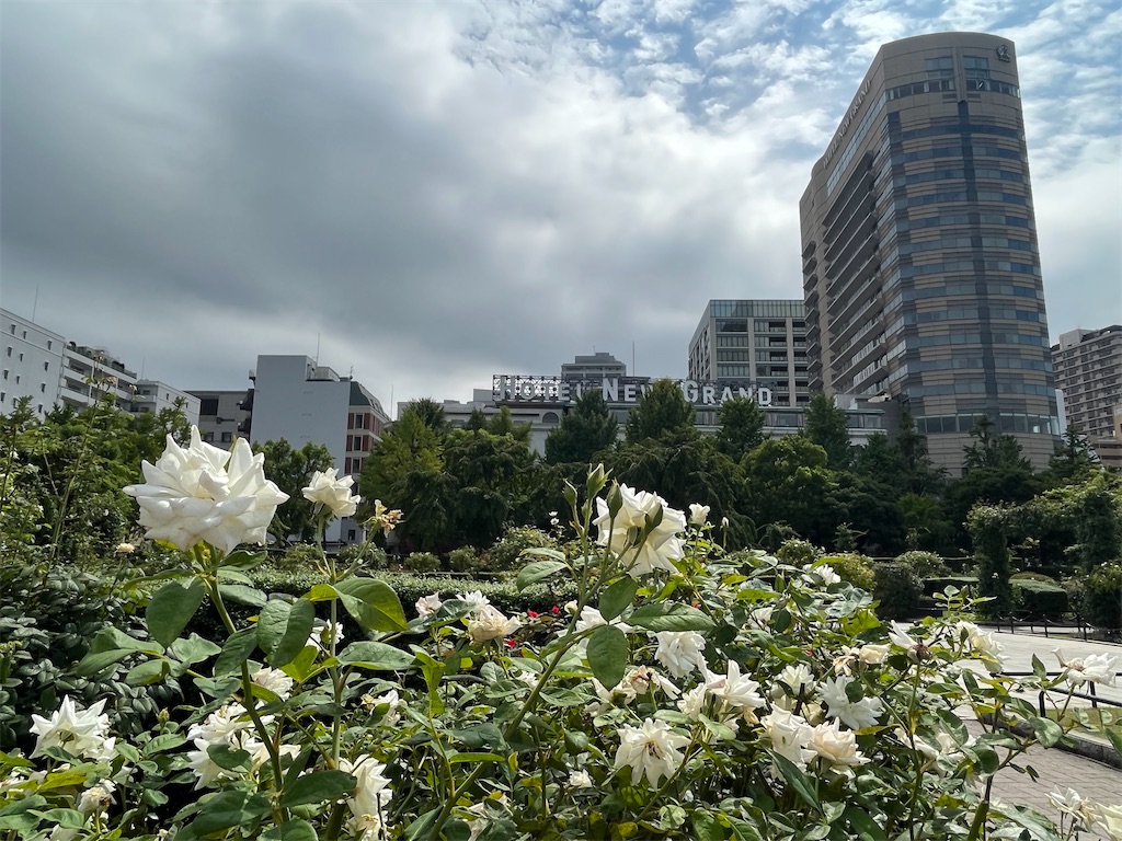 f:id:ABi-R:20220807202538j:image f:id:ABi-R:20220807202538j:image