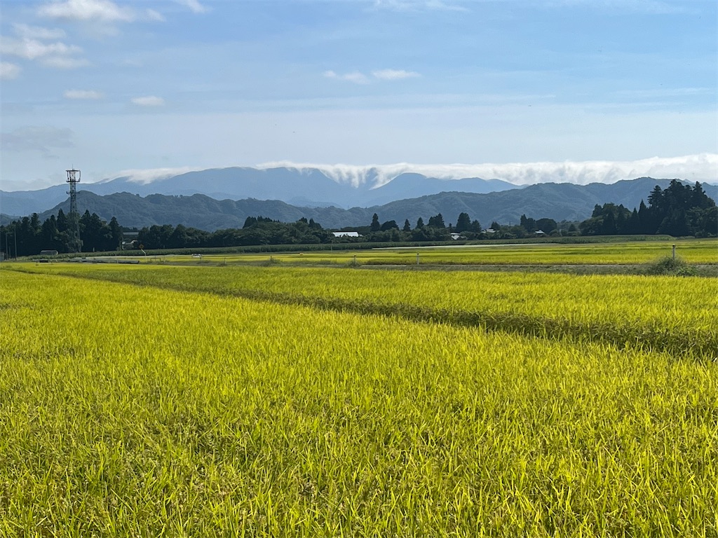 f:id:ABi-R:20220918143657j:image f:id:ABi-R:20220918143657j:image