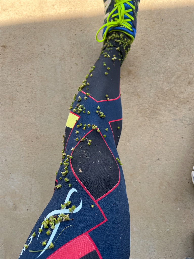 f:id:ABi-R:20220923133316j:image f:id:ABi-R:20220923133316j:image