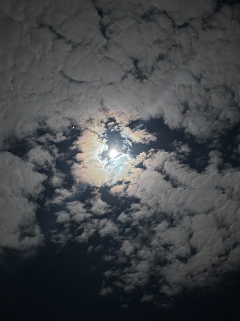 f:id:ABi-R:20221008233715j:image f:id:ABi-R:20221008233715j:image