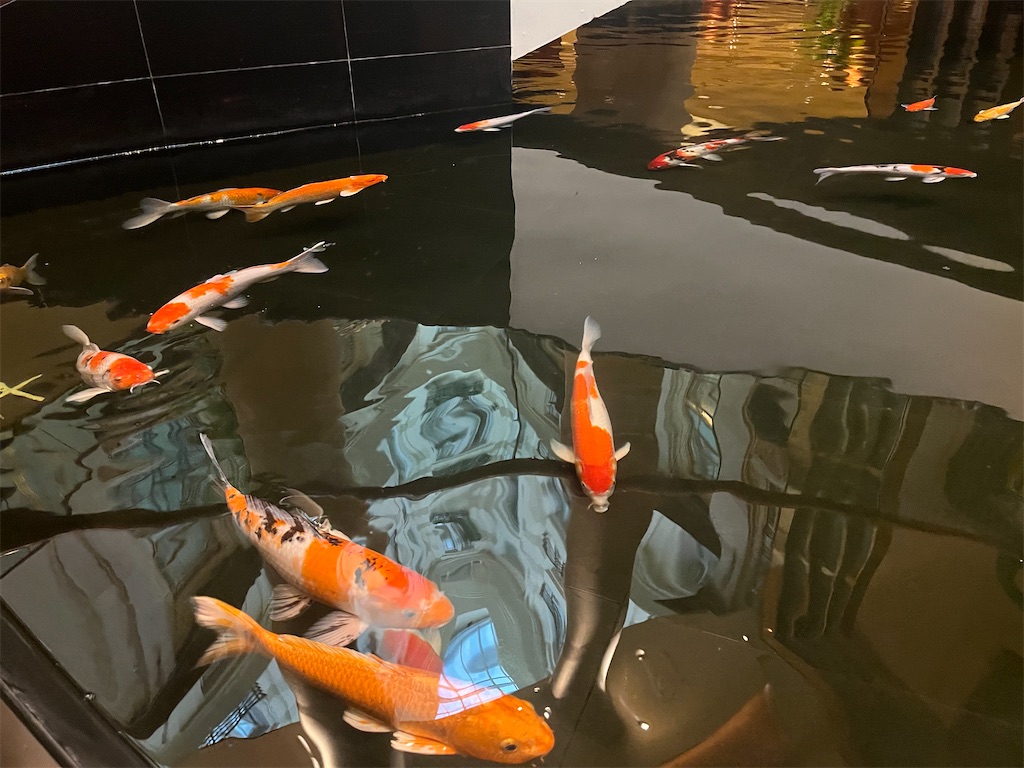 f:id:ABi-R:20221023214943j:image f:id:ABi-R:20221023214943j:image