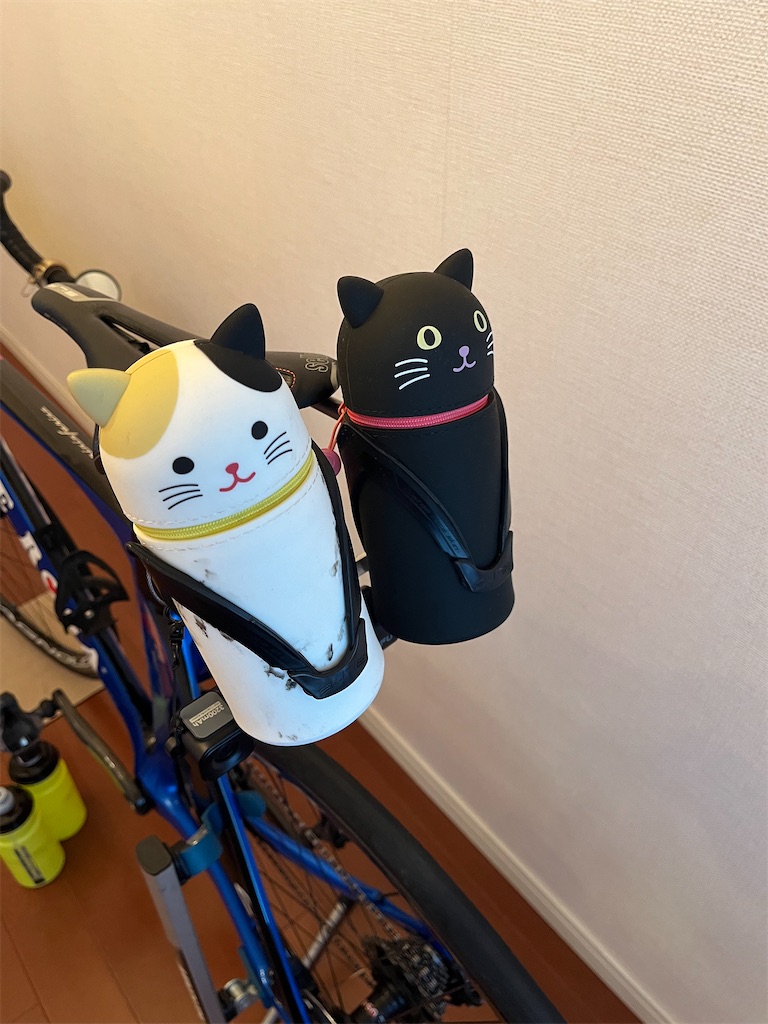 f:id:ABi-R:20221113223742j:image