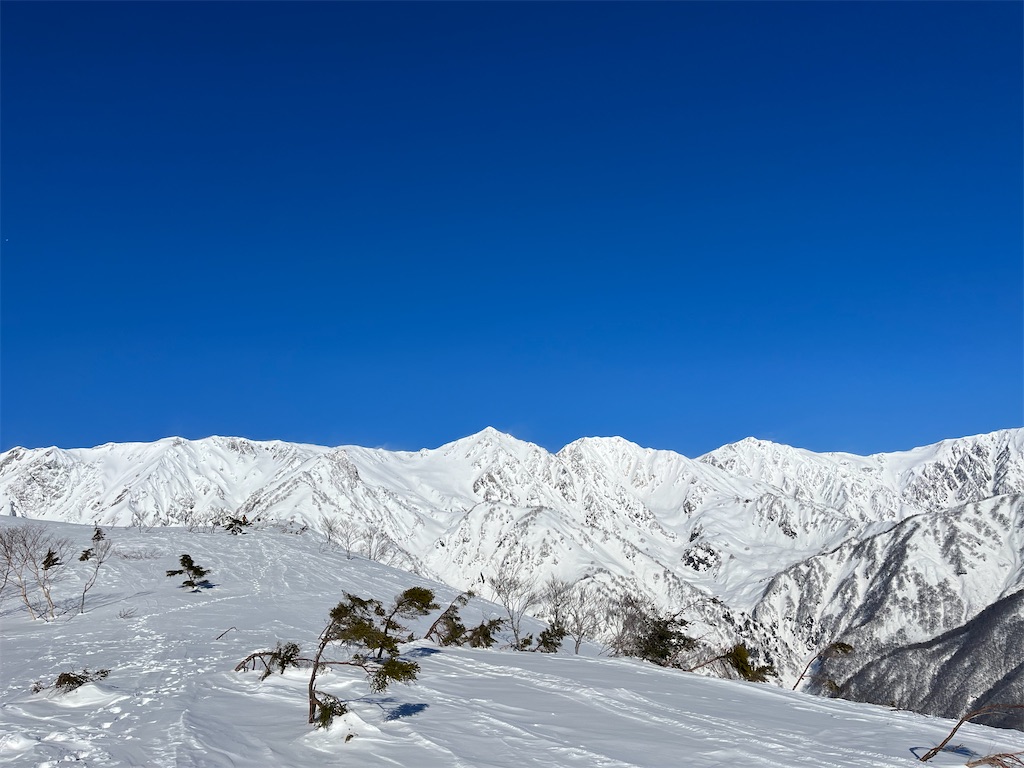 f:id:ABi-R:20230217184210j:image f:id:ABi-R:20230217184210j:image