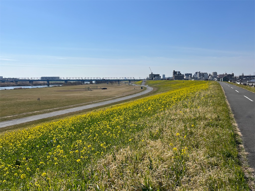 f:id:ABi-R:20230304212408j:image f:id:ABi-R:20230304212408j:image