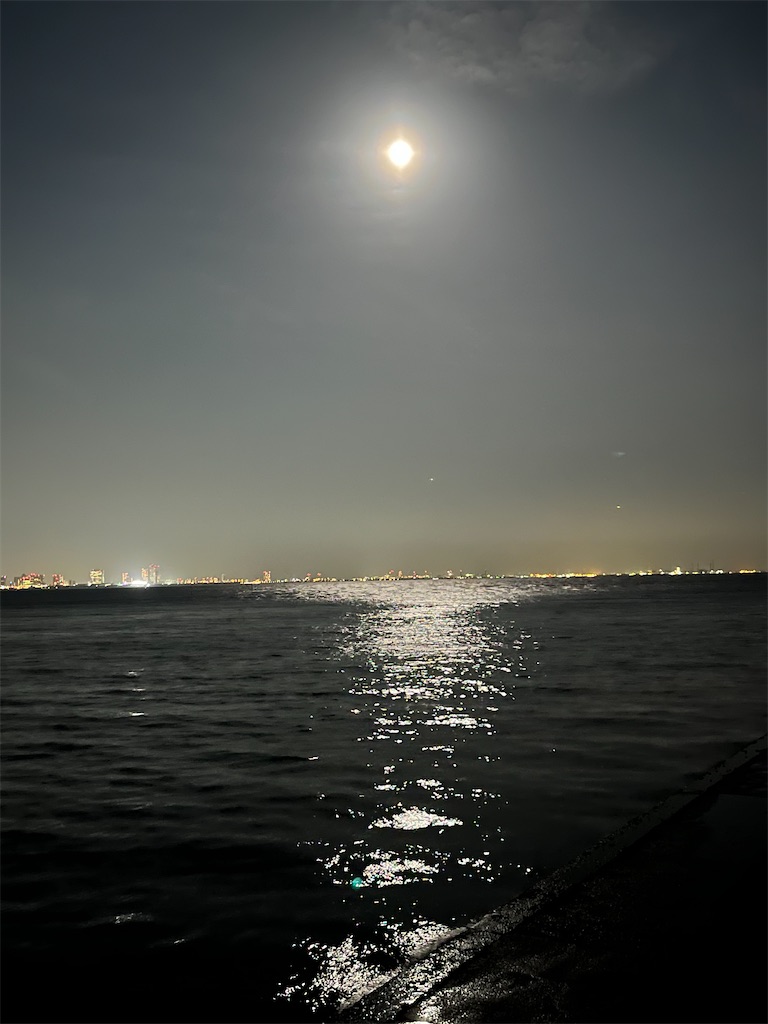 f:id:ABi-R:20230308222946j:image f:id:ABi-R:20230308222946j:image