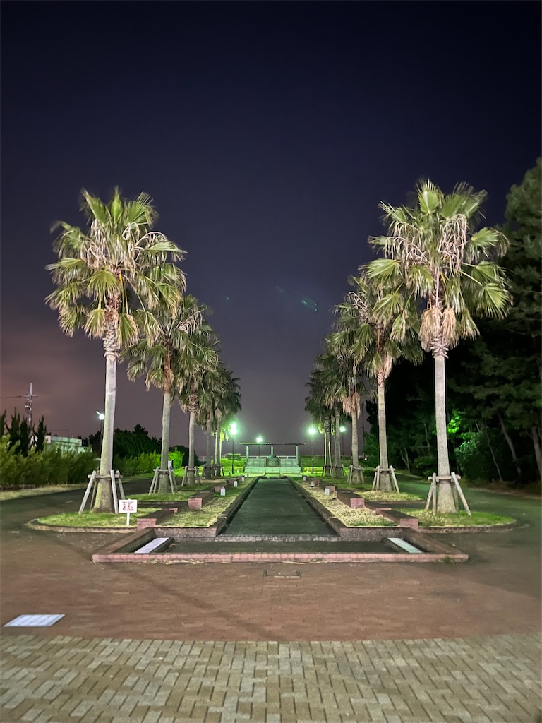 f:id:ABi-R:20230310222918j:image f:id:ABi-R:20230310222918j:image