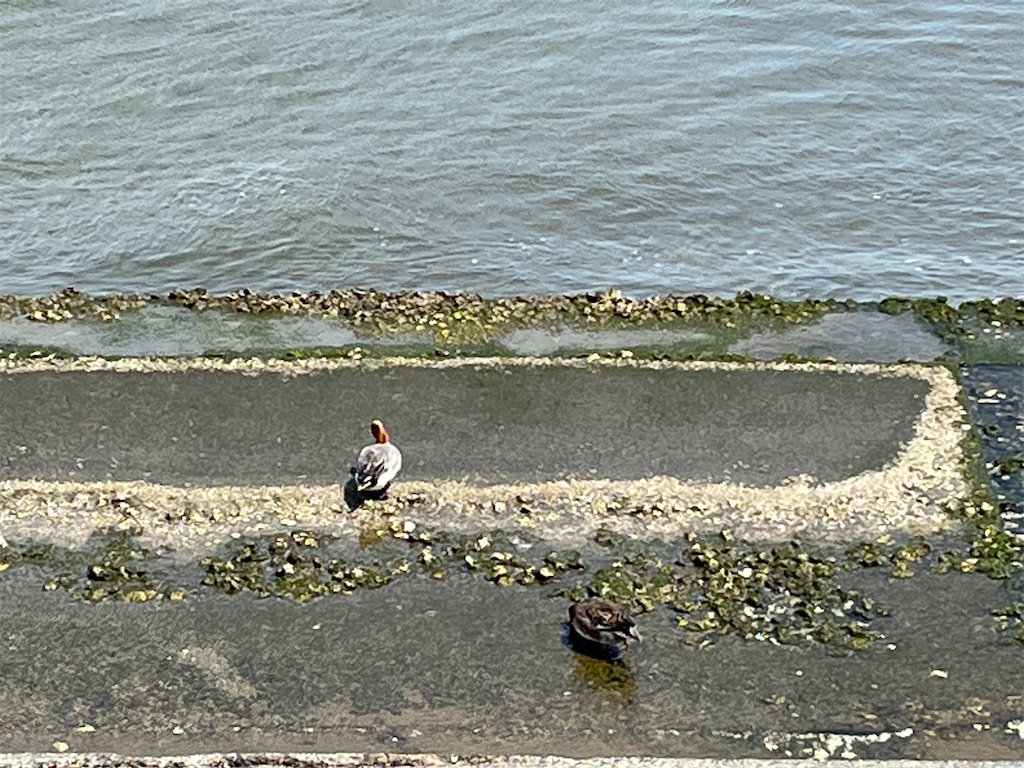 f:id:ABi-R:20230416144132j:image f:id:ABi-R:20230416144132j:image