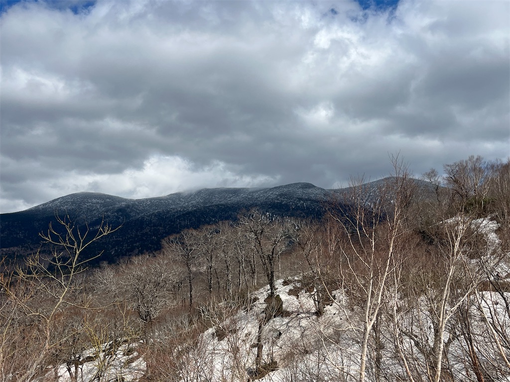 f:id:ABi-R:20230503183137j:image f:id:ABi-R:20230503183137j:image