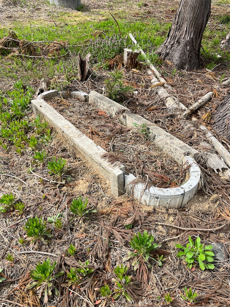 f:id:ABi-R:20230503183542j:image f:id:ABi-R:20230503183542j:image