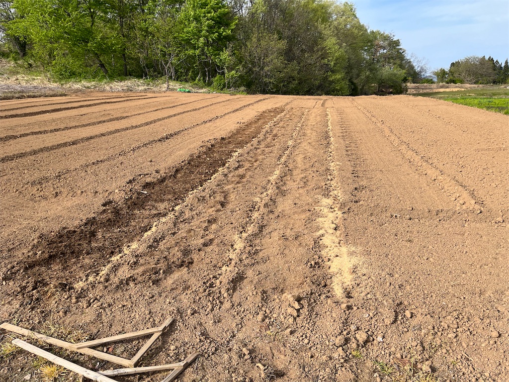 f:id:ABi-R:20230503183607j:image f:id:ABi-R:20230503183607j:image