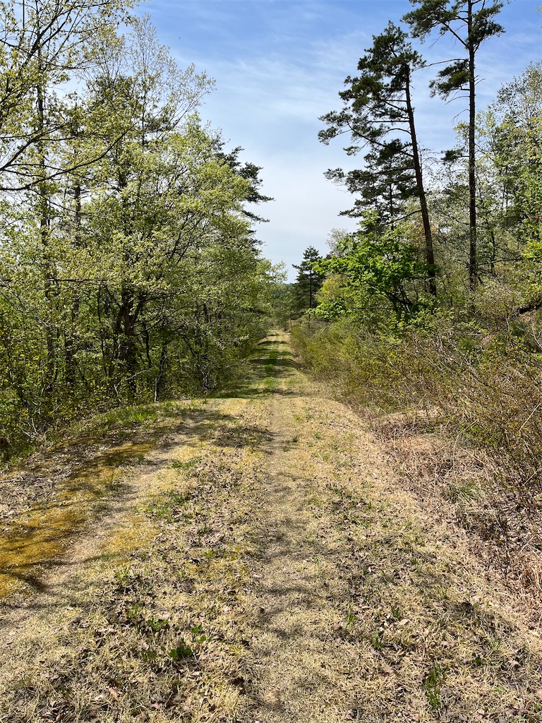 f:id:ABi-R:20230503183633j:image f:id:ABi-R:20230503183633j:image