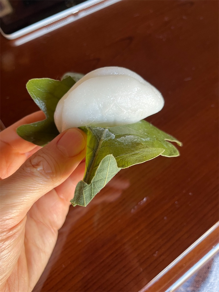 f:id:ABi-R:20230507143916j:image f:id:ABi-R:20230507143916j:image