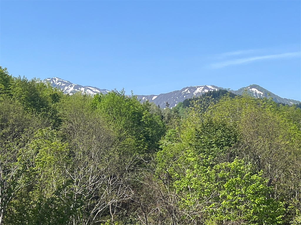 f:id:ABi-R:20230507213707j:image f:id:ABi-R:20230507213707j:image