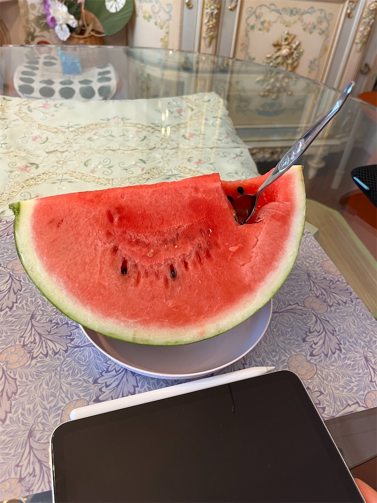 f:id:ABi-R:20230805152737j:image f:id:ABi-R:20230805152737j:image