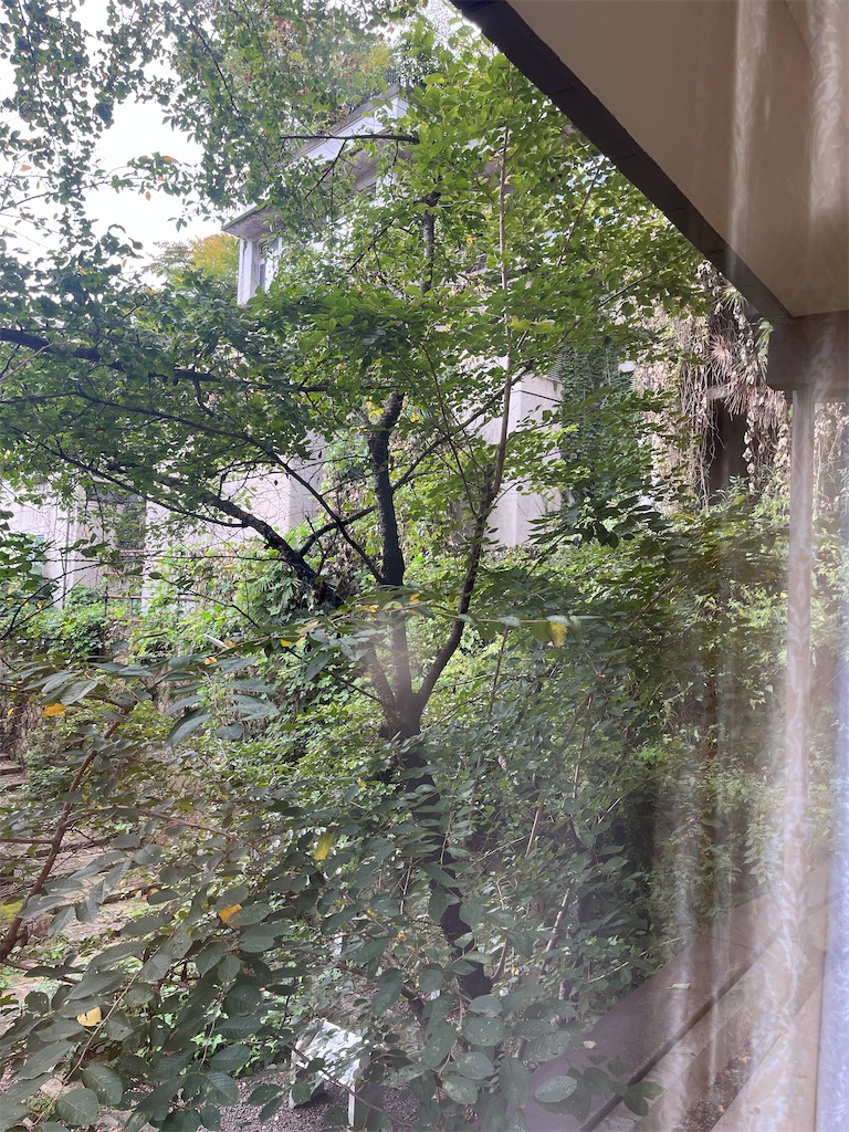 f:id:ABi-R:20230914190742j:image f:id:ABi-R:20230914190742j:image