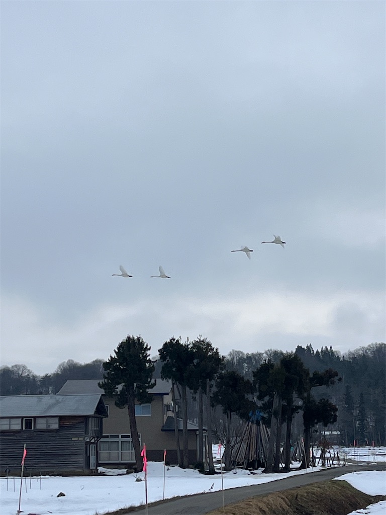 f:id:ABi-R:20231231225441j:image f:id:ABi-R:20231231225441j:image