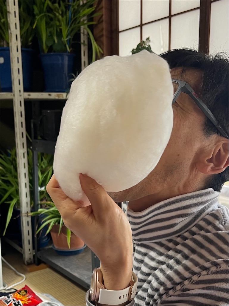 f:id:ABi-R:20240101221849j:image f:id:ABi-R:20240101221849j:image