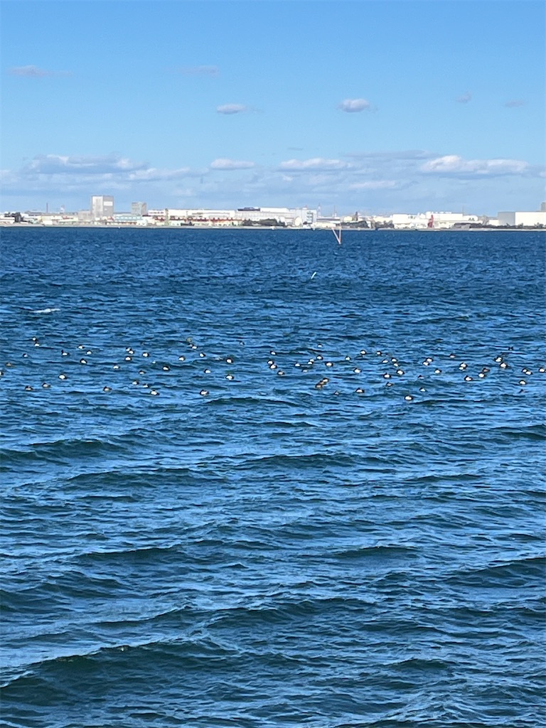 f:id:ABi-R:20240110000925j:image f:id:ABi-R:20240110000925j:image