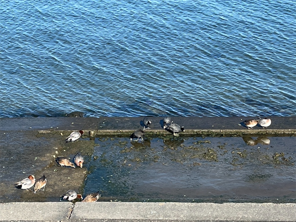 f:id:ABi-R:20240115054935j:image f:id:ABi-R:20240115054935j:image