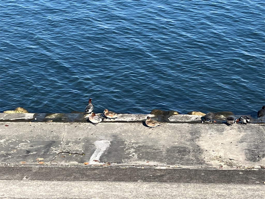 f:id:ABi-R:20240115054945j:image f:id:ABi-R:20240115054945j:image