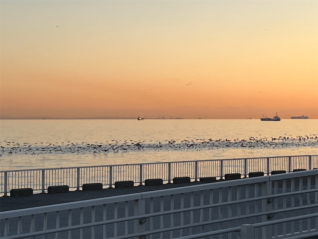 f:id:ABi-R:20240117230255j:image f:id:ABi-R:20240117230255j:image