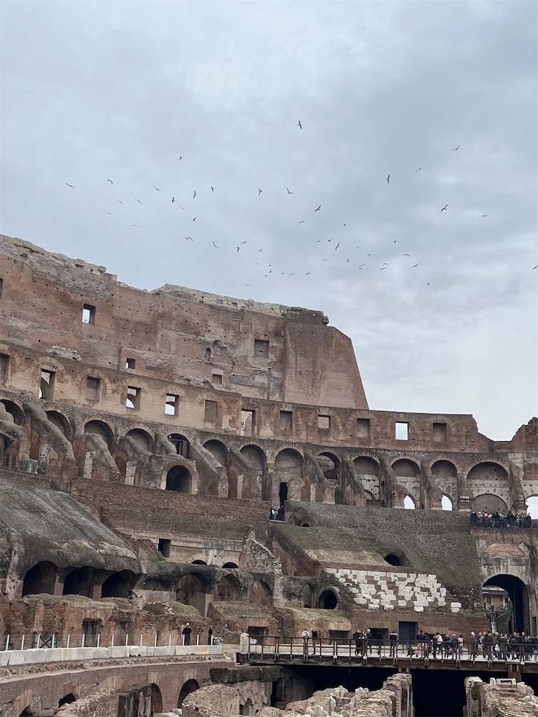 f:id:ABi-R:20240124143454j:image f:id:ABi-R:20240124143454j:image