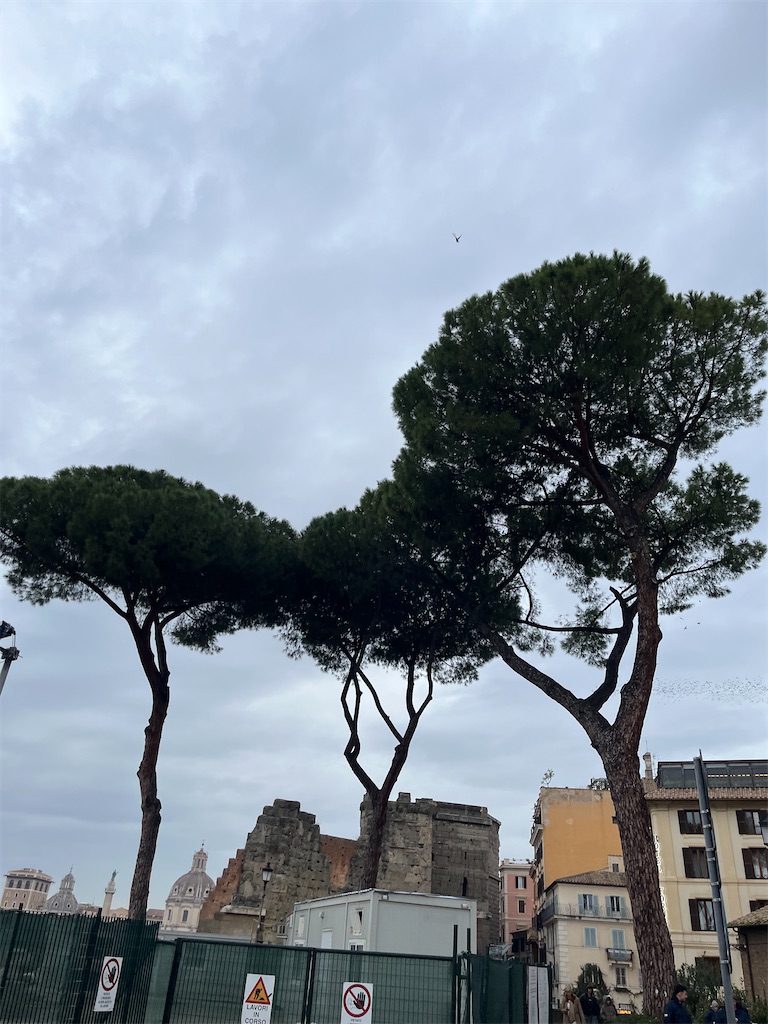 f:id:ABi-R:20240128215915j:image f:id:ABi-R:20240128215915j:image