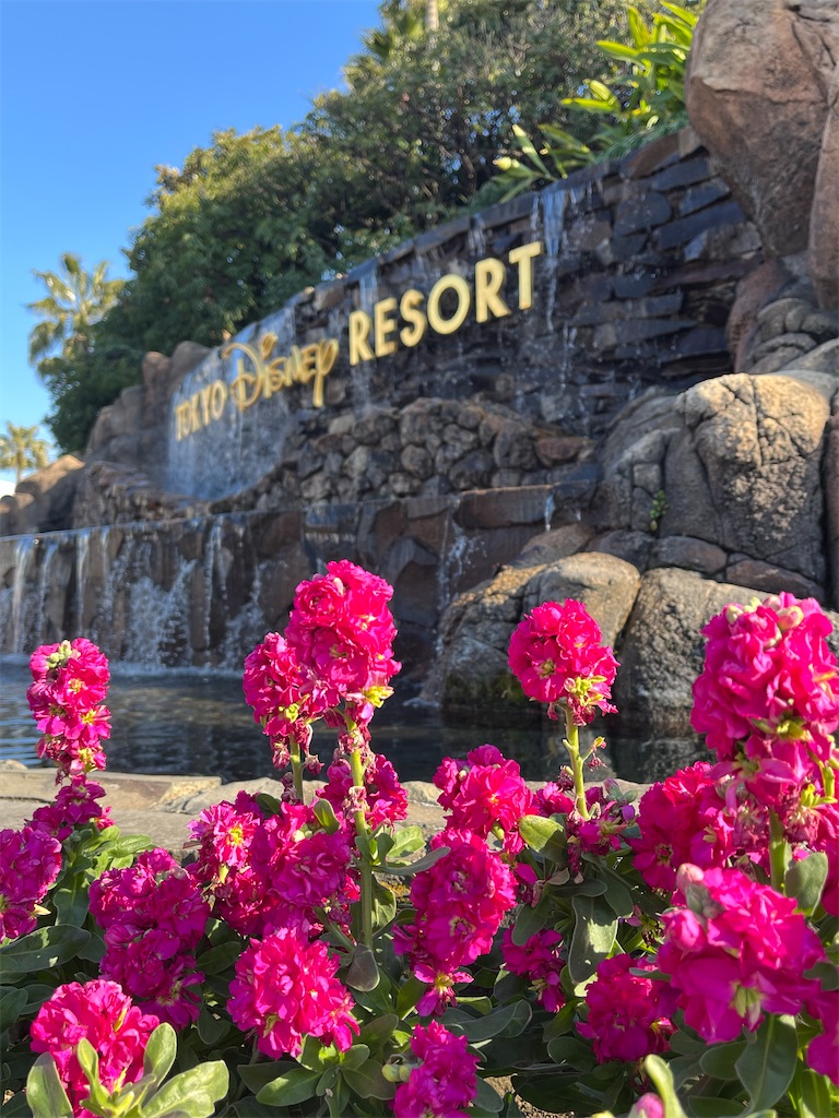 f:id:ABi-R:20240212182659j:image f:id:ABi-R:20240212182659j:image