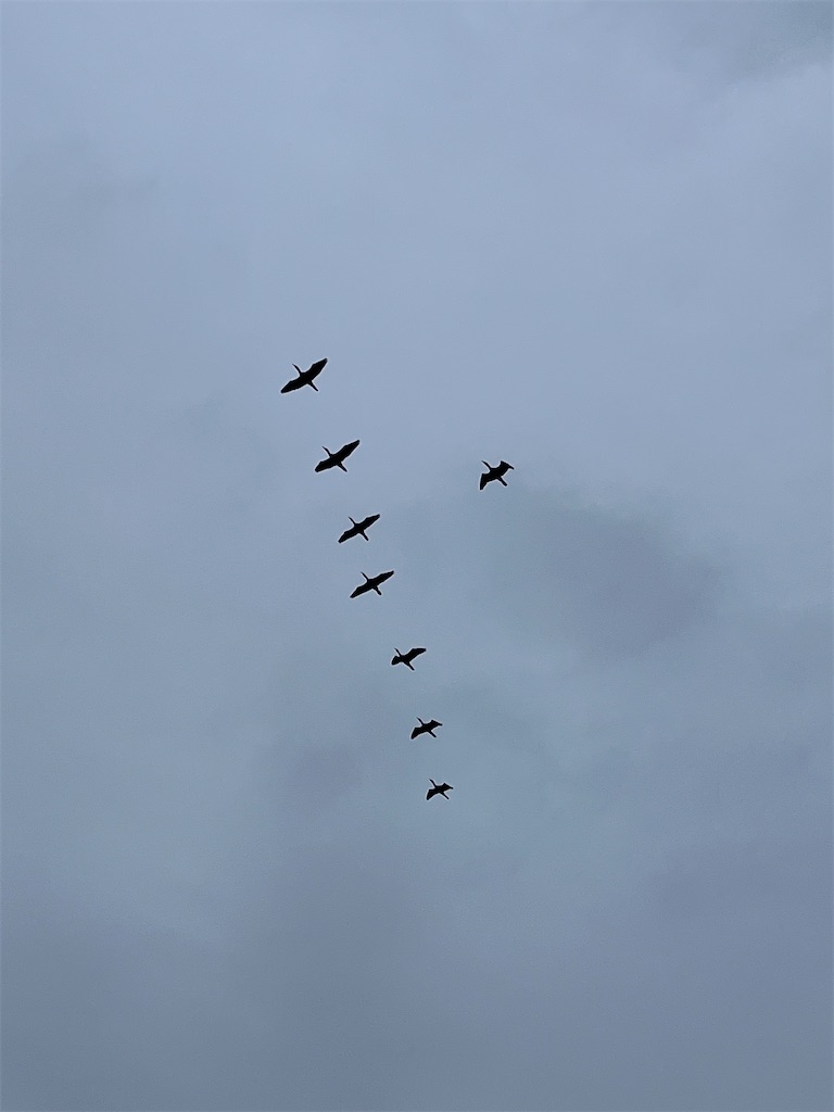 f:id:ABi-R:20240309074811j:image f:id:ABi-R:20240309074811j:image