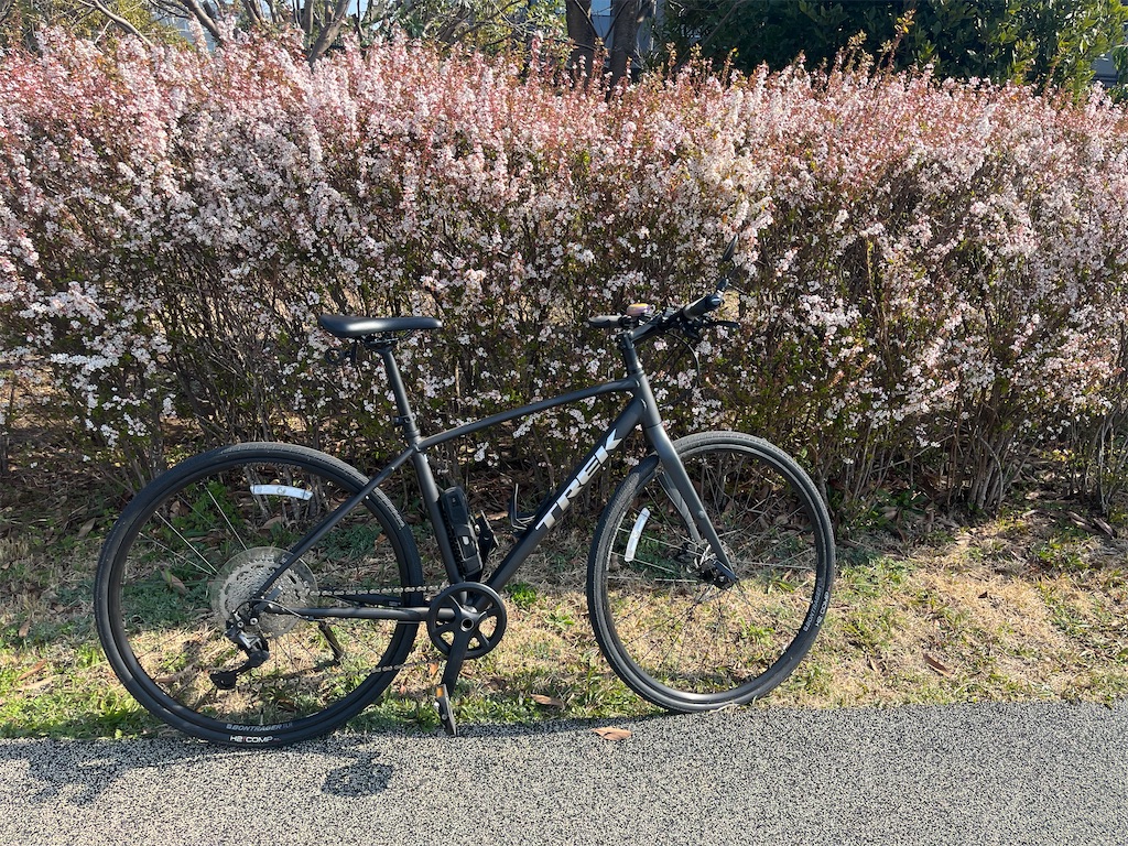 f:id:ABi-R:20240316200620j:image f:id:ABi-R:20240316200620j:image