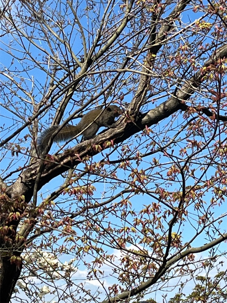 f:id:ABi-R:20240323143041j:image f:id:ABi-R:20240323143041j:image