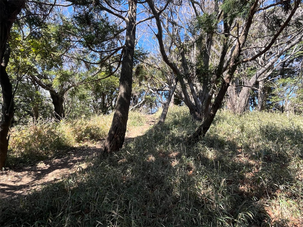 f:id:ABi-R:20240323143111j:image f:id:ABi-R:20240323143111j:image