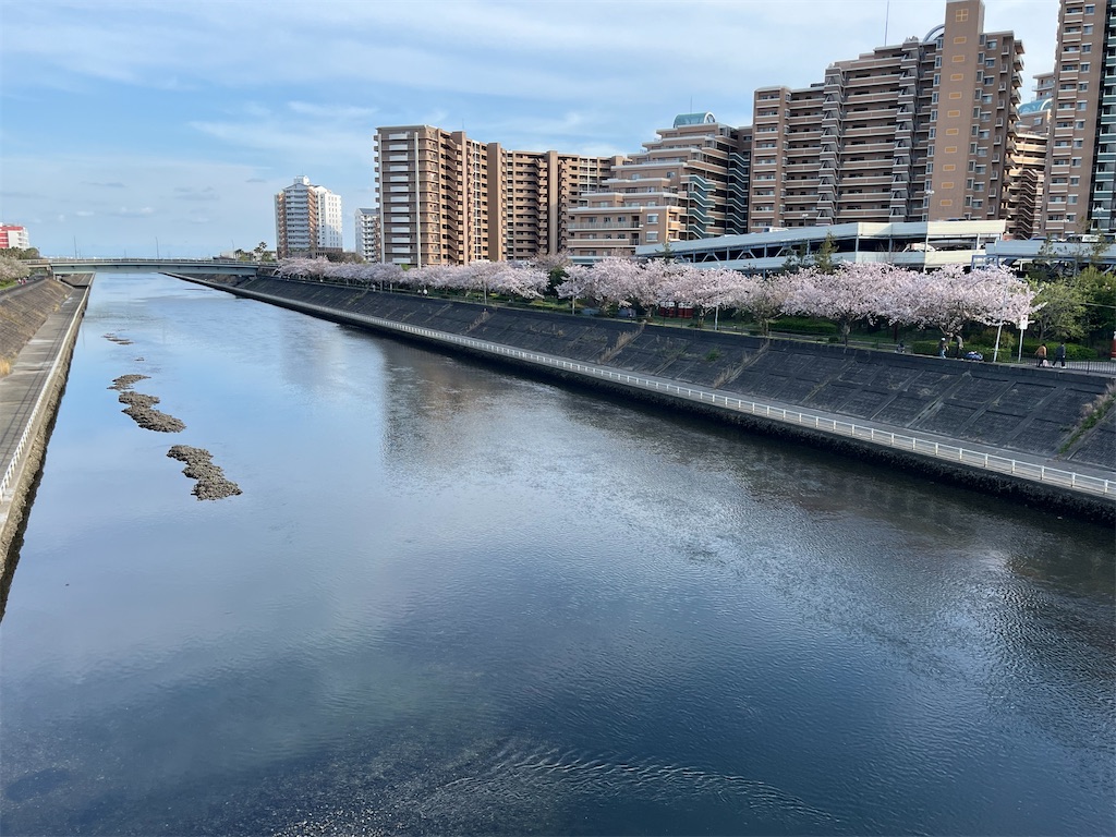 f:id:ABi-R:20240413191712j:image