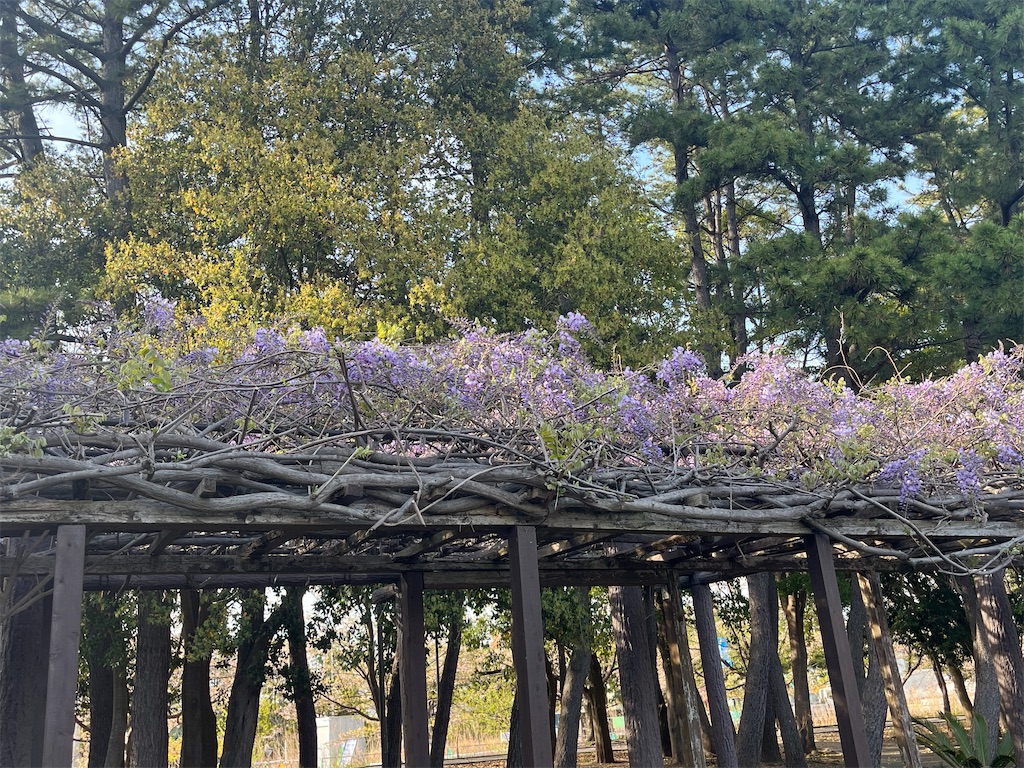 f:id:ABi-R:20240413191722j:image