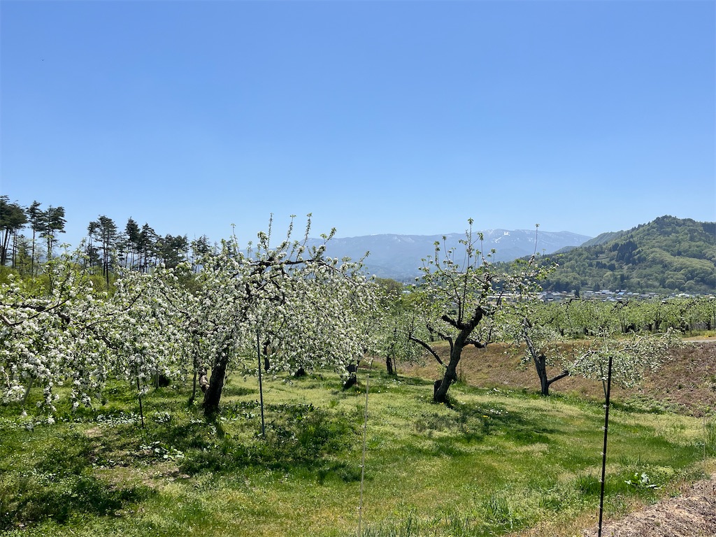 f:id:ABi-R:20240428134400j:image f:id:ABi-R:20240428134400j:image