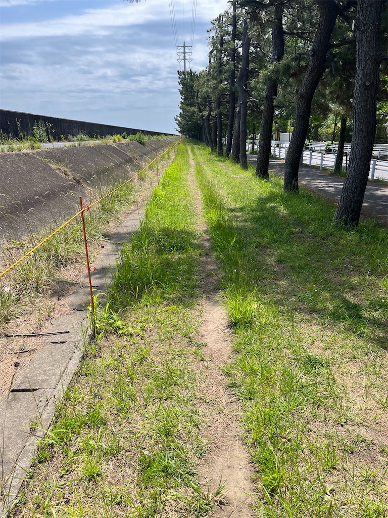 f:id:ABi-R:20240525222247j:image f:id:ABi-R:20240525222247j:image