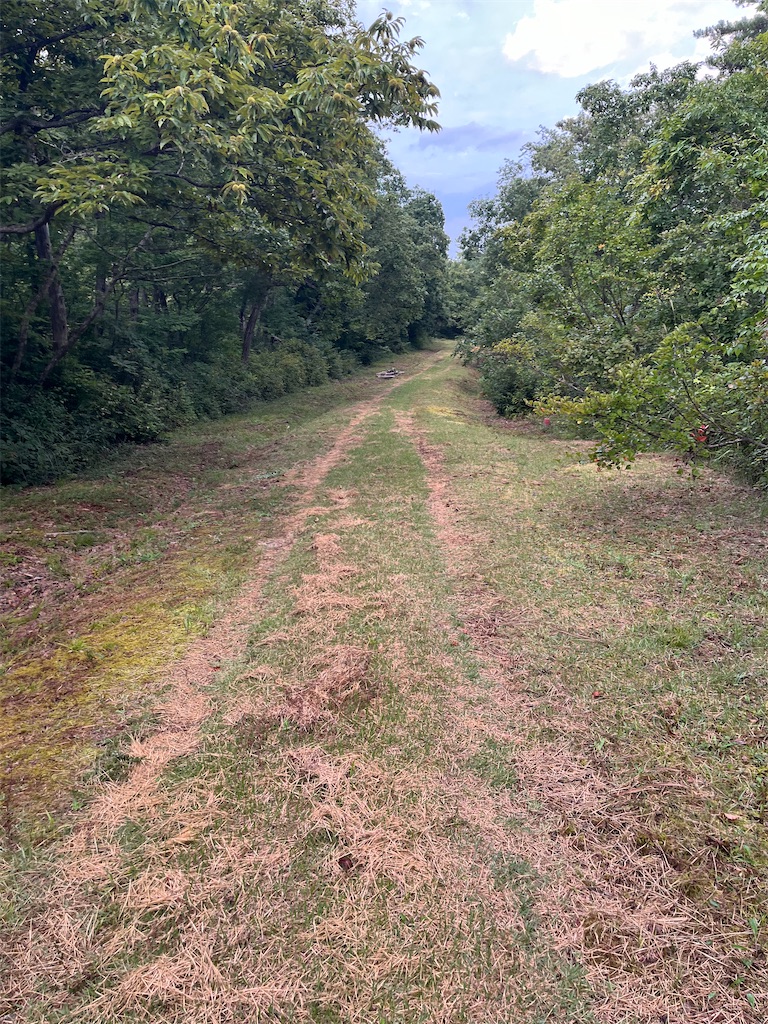 f:id:ABi-R:20240914214126j:image f:id:ABi-R:20240914214126j:image