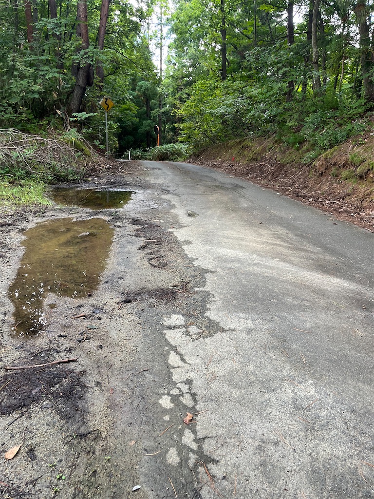 f:id:ABi-R:20240918135457j:image f:id:ABi-R:20240918135457j:image