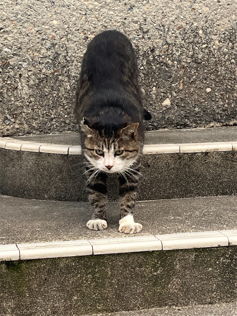 f:id:ABi-R:20240919195653j:image f:id:ABi-R:20240919195653j:image