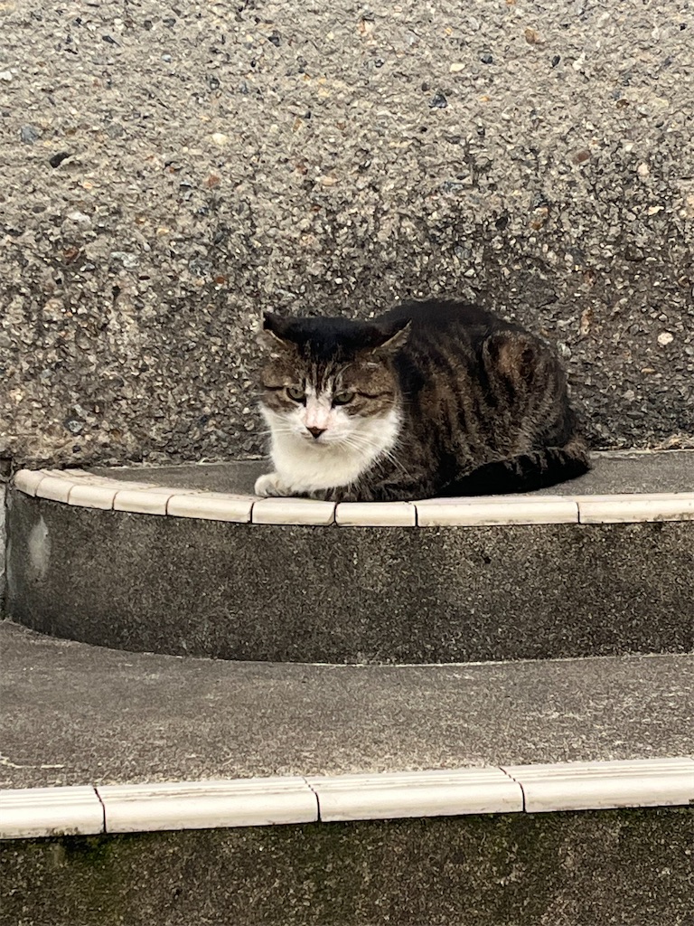 f:id:ABi-R:20240919195700j:image f:id:ABi-R:20240919195700j:image