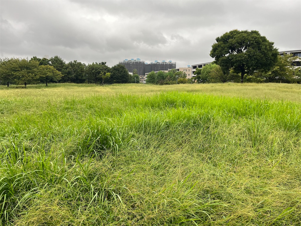 f:id:ABi-R:20241005175208j:image f:id:ABi-R:20241005175208j:image