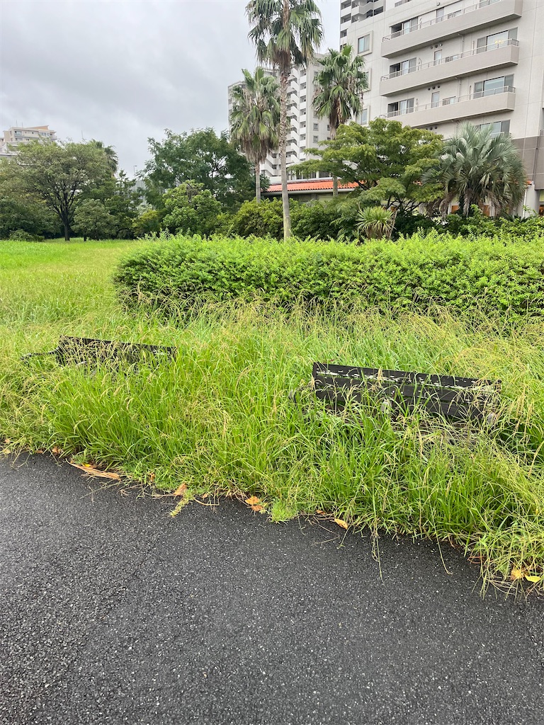 f:id:ABi-R:20241005175211j:image f:id:ABi-R:20241005175211j:image