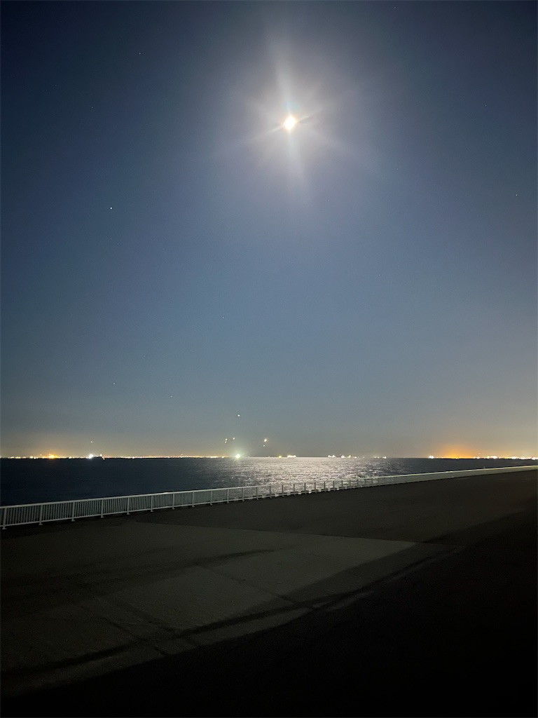 f:id:ABi-R:20241014225553j:image f:id:ABi-R:20241014225553j:image