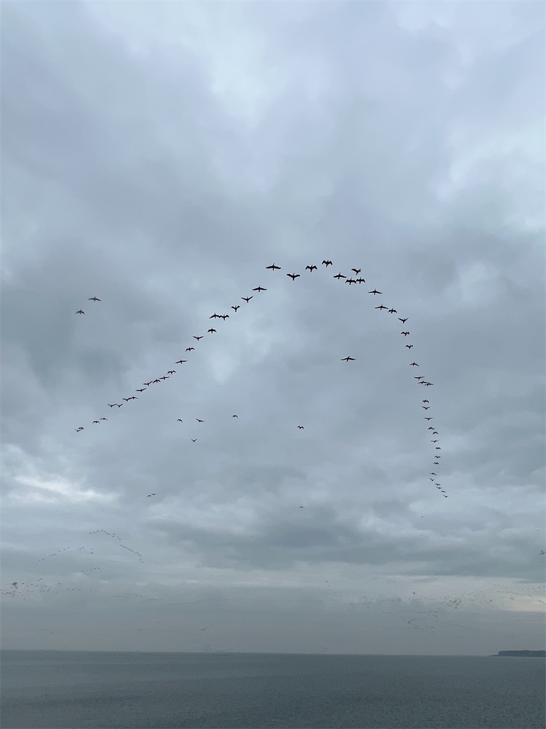 f:id:ABi-R:20241112072944j:image f:id:ABi-R:20241112072944j:image